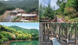“싱그러운 녹음…전남서 숲캉스 즐기세요”