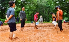 건강 황토탕 걷기