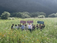 장흥 유치면 신풍습지공원 코스모스 ‘활짝’
