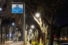 여수 미평동 가로수 보도 조명등 설치