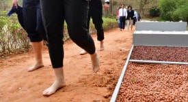 맨발 황톳길 개장