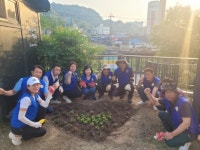 광주 동구 여름맞이 도심 화단 정비