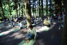 “장성 축령산 편백숲서 ‘숲속 여가’ 함께 즐겨요”