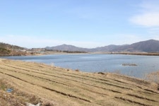 수군 파하고 육군에 합류하라 보성서 받은 임금 명령 청천벽력