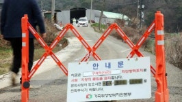국내 7년만·전남 첫 돼지 구제역 초비상