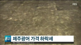 제주 광어, 소비진작책 등 시급