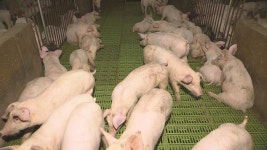 축산분뇨 자원화흑우 유전자 보전 사업 확대