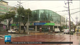 양돈농협 뜨거운 감자