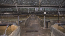 제주양식장 지하수 원수 대금 면제 환경운동연합, 공수 정책에 역행