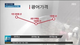 광어 가격 폭락...판로망 확보 관건