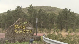 산림청 예약시스템 통합...서귀포붉은오름 자연휴양림 예약방식 변경