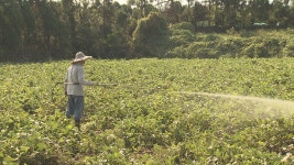 완효성 비료 실증 시험 추진...비료 사용 지하수 오염 저감 기대