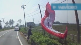 패러글라이딩 추락 사고...국토부, 조종자 과실 때문으로 결론