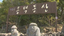 동백동산 생태관관 프로그램...국내 최초 저탄소 관광서비스 제품 인증