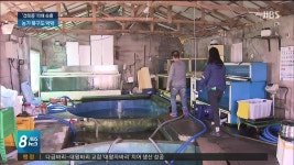 연이은 가을 태풍.. 피해 속출