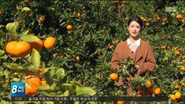 올가을 최저기온...주말은 따스해요