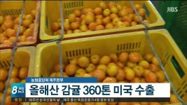 농협중앙회 제주본부 올해산 감귤 360톤 미국 수출