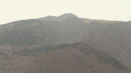 한라산국립공원, 소나무림 10년간 51.4ha 증가