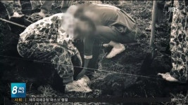 4.3 유해-무연묘 이장..연결고리 찾나?