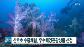 산호초 수중 체험, 우수해양 관광상품 선정