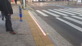 서귀포시 횡단보도 바닥신호등 시범설치 추진