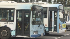녹색당 공영버스 축소는 잘못된 판단