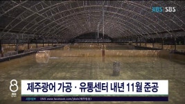 세븐일레븐제주광어가공유통센터점 | (제주) 제주광어 가공·유통센터 내년 11월 준공