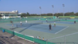 제주 생활체육 참여율 73.5%...전국 1위