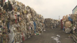 제주, 폐기물 재활용업체 특별점검