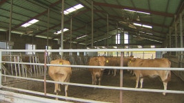 제주, 축산업 피해 예방 활동 강화