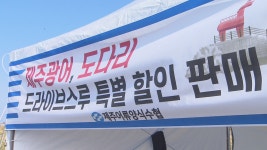 제주, 수산물 판매 촉진 위한 상생 할인 지원 사업 추진