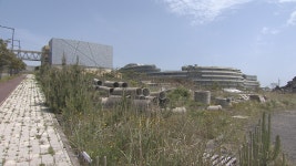 (제주) 제주헬스케어타운 난임 전문 의료 기관 설립 추진