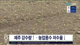 (제주), 제주 강수량 ↑ 농업용구 저수율 ↓