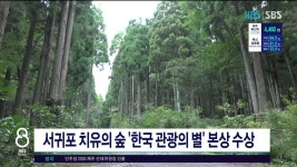 제주, 서귀포 치유의 숲 한국 관광의 별 본상 수상(영상)