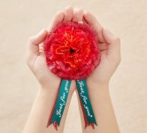 아성다이소, 5월 가정의 달 기획전 진행