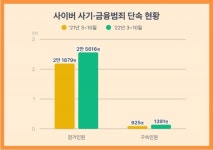 사이버 사기·금융범죄 2만 5천명 검거