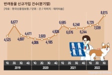 반려동물보험 신규 가입 증가 추세