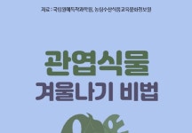 [생활정보] 386. 관엽식물 겨울나기 비법