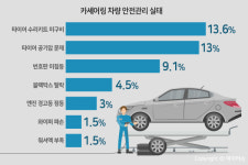 카셰어링車 36%는 안전 미흡…1위 타이어 수리키트 미구비
