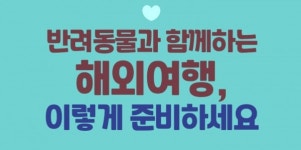 [카드뉴스] 반려동물과 함께하는 해외여행, 이렇게 준비하세요