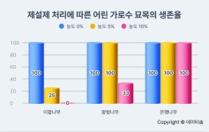 건강하지 못한 이팝나무 가로수, 42%가 제설제 때문