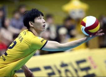 양효진·황택의, V리그 남녀부 연봉 '톱'