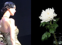 정경진, 故 이평 애도 최고의 모델, 아프지 말고 편히 쉬길