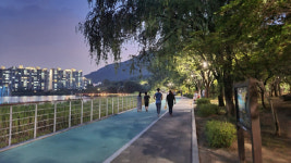 산림청, 열대야 식혀줄 8월의 가로수길 소개