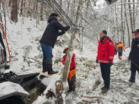 산림청, 폭설 피해 울진금강소나무숲 긴급 복구 나서