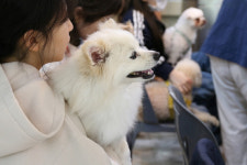 국립자연휴양림관리소, 사립휴양림과 함께 숲속 멍스토랑 개최