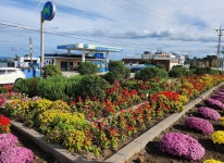 애월읍 ‘2024년 사계절 꽃피는 제주 만들기’ 최우수기관 선정