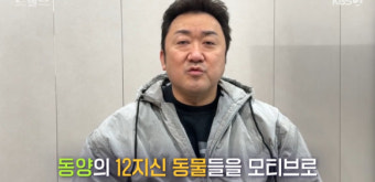 2025년 KBS드라마, 이영애x마동석x옥택연 찾아온다