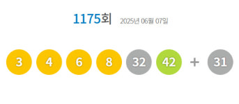 1175회 로또 당첨번호 3·4·6·8·32·42...보너스 번호 31