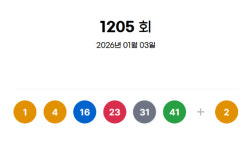 1205회 로또 당첨번호 1·4·16·23·31·41...보너스 번호 2